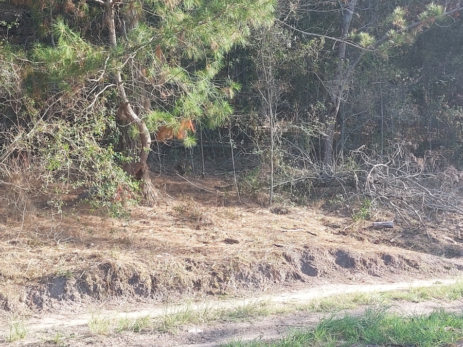 0 Bedroom Property for Sale in Sedgefield Rural Western Cape